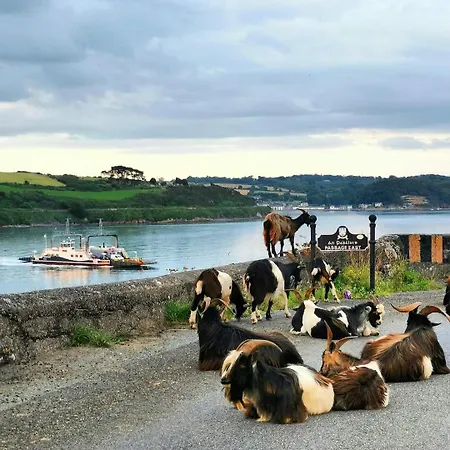 Bed and Breakfast Viking Arthurstown